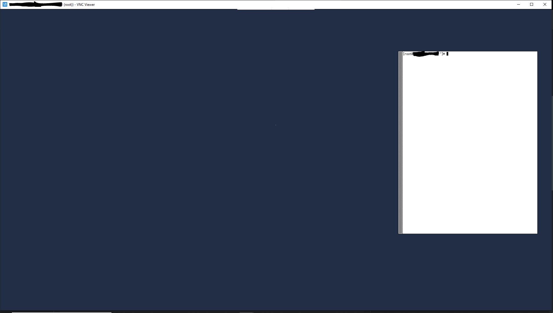 VNC viewer display
