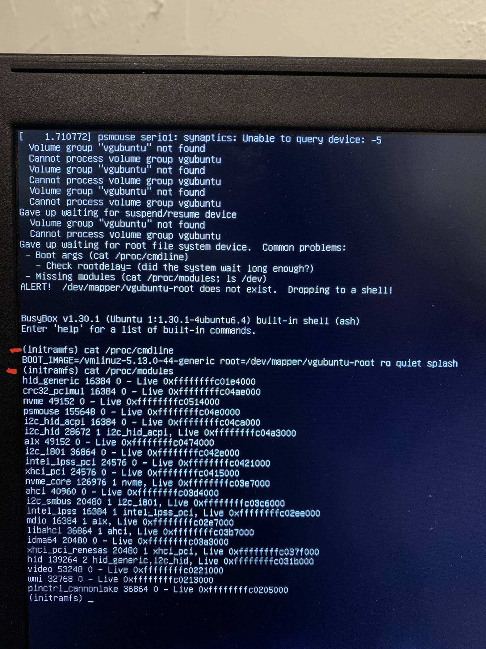 Screenshot of the boot messages