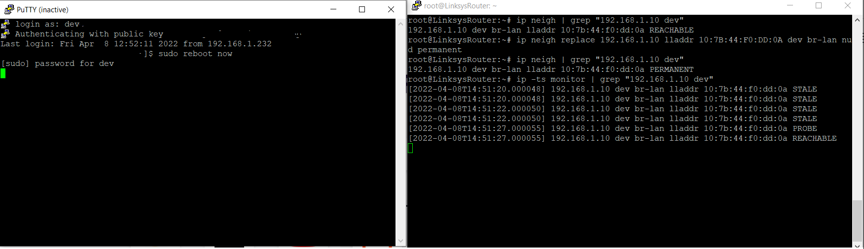 Putty Terminal Session