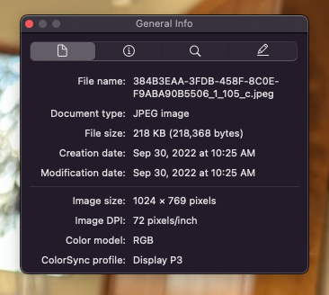 image after copy/pasted and sent in Messages